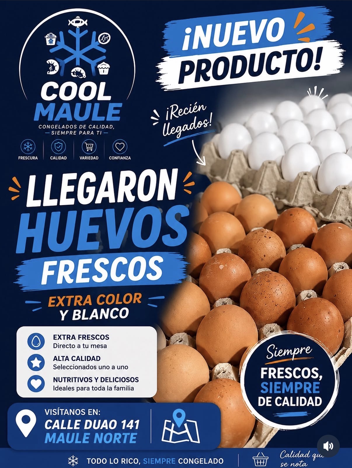 Huevos frescos extra blancos y color disponibles en Cool Maule